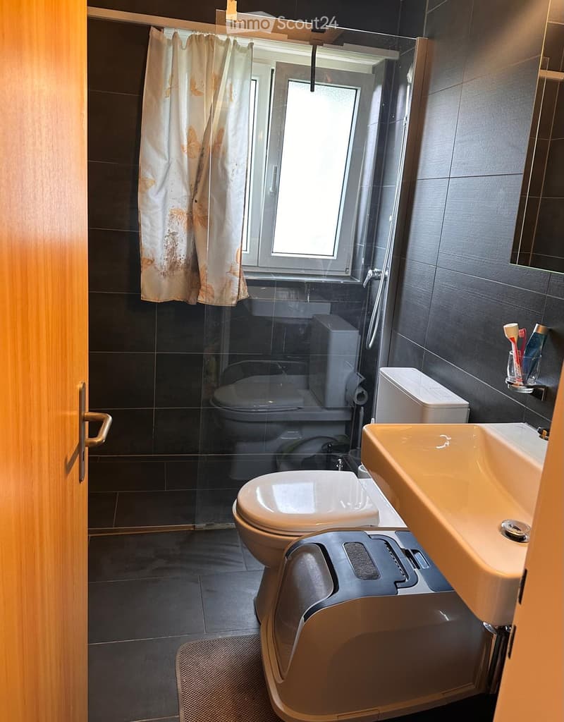 Modern bathroom with dark tiled walls and floor, a white toilet, a beige sink, a shower area with a curtain, and a toothbrush holder on the wall.