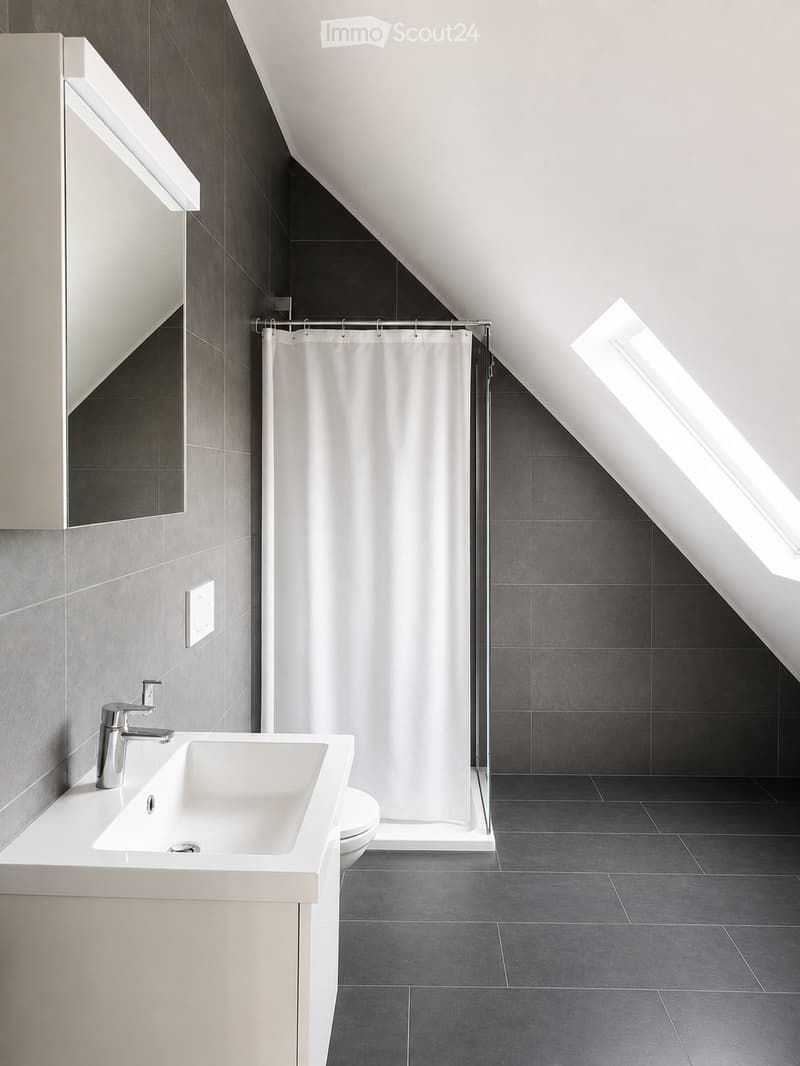 Modern bathroom with a white sink, chrome faucet, large mirror, and a shower area with a white curtain. Dark grey tiles on the floor and walls, with a skylight allowing natural light.