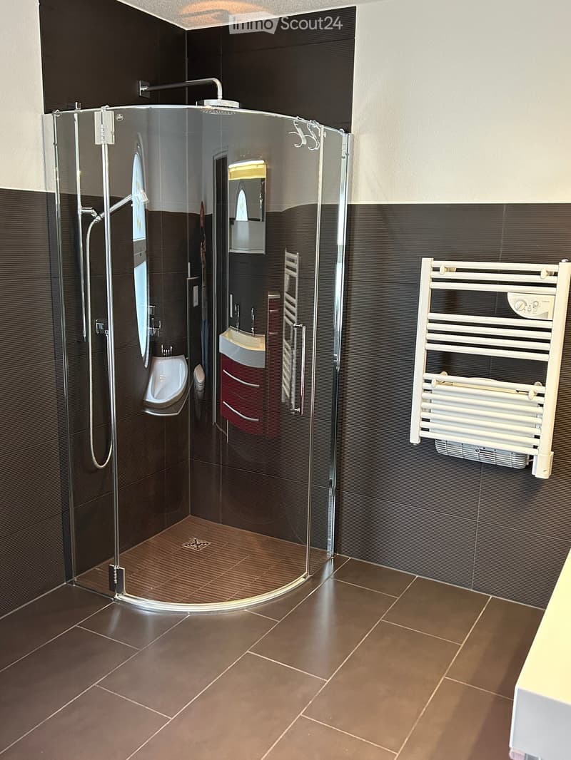 Modern bathroom with dark brown tiles, a glass-enclosed shower, a sink with a red cabinet, a toilet, and a white radiator.
