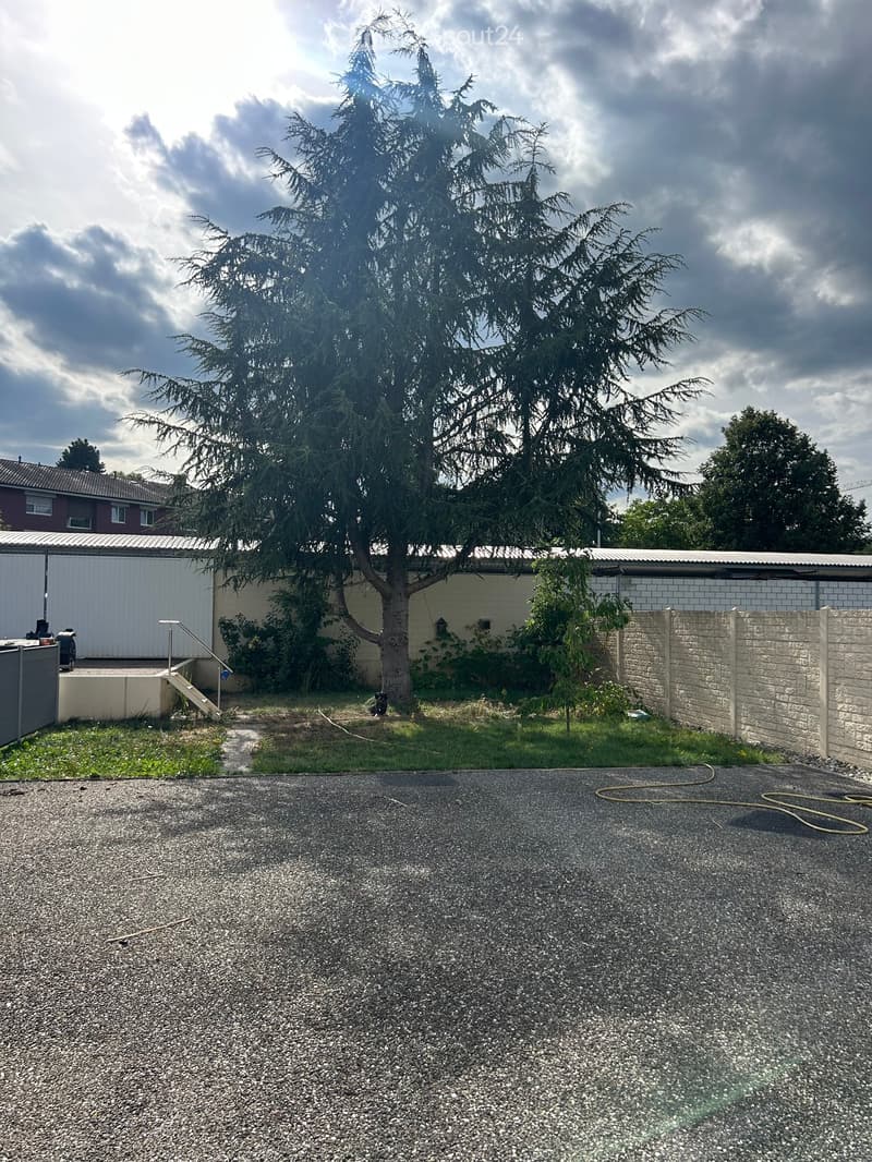 Garden area with gravel driveway, large tree, white brick wall, and adjacent garage.