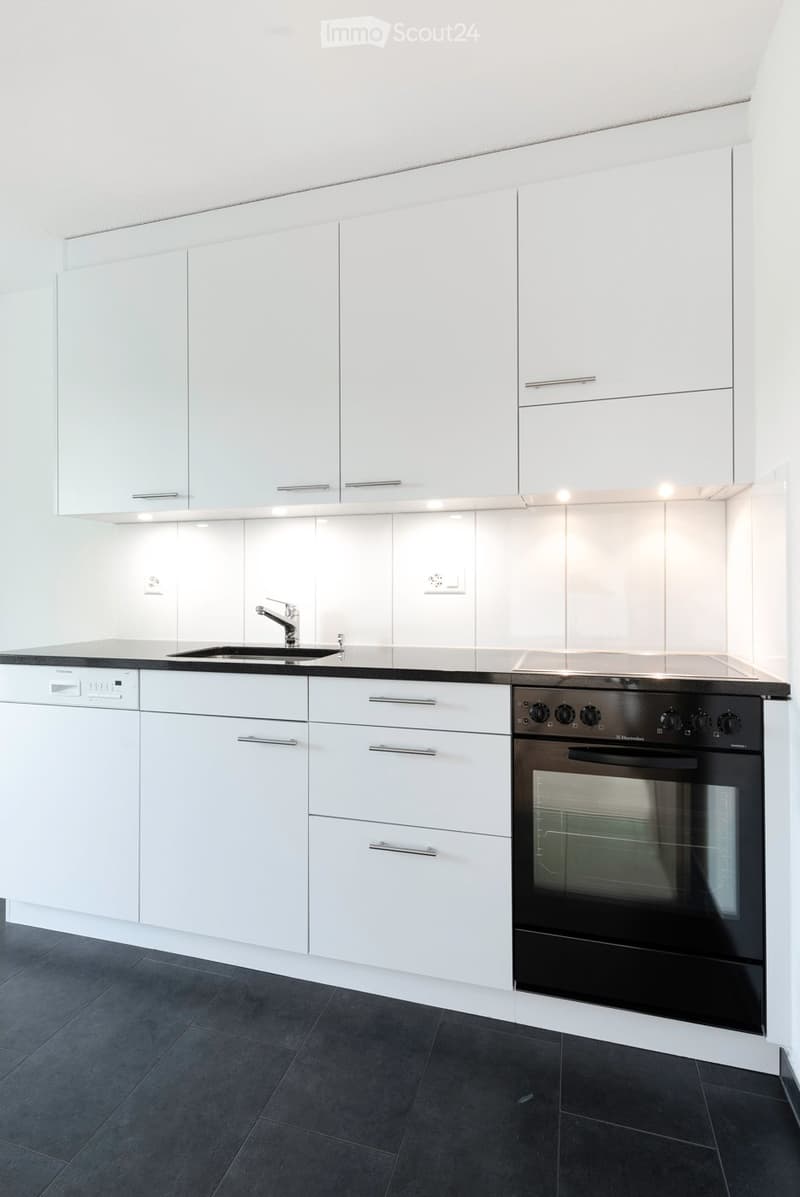 Modern kitchen with white cabinets, black countertop, stainless steel sink, and built-in oven and dishwasher.