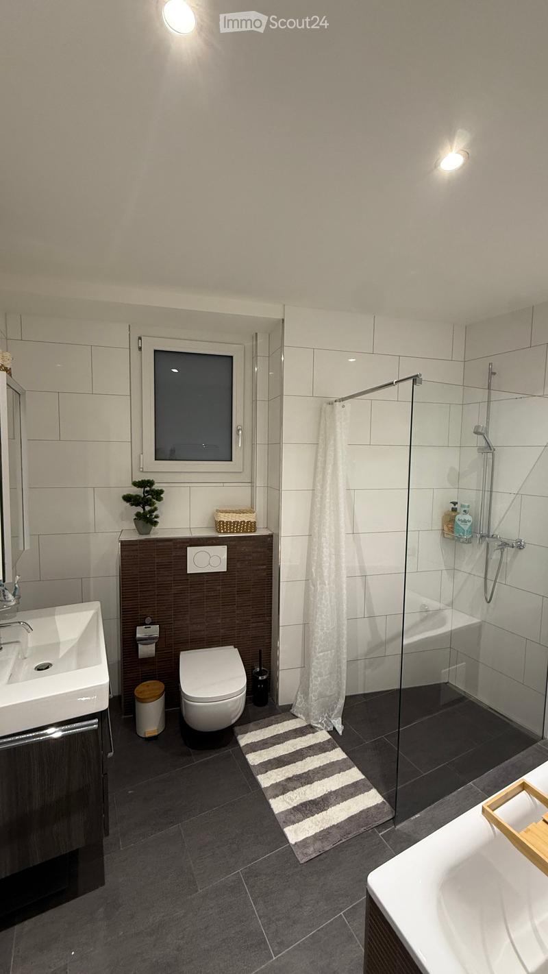 Modern bathroom with dark tiles, white fixtures, a glass-enclosed shower, a bathtub, a sink, and a toilet. Includes a small plant on the counter and a striped bath mat.