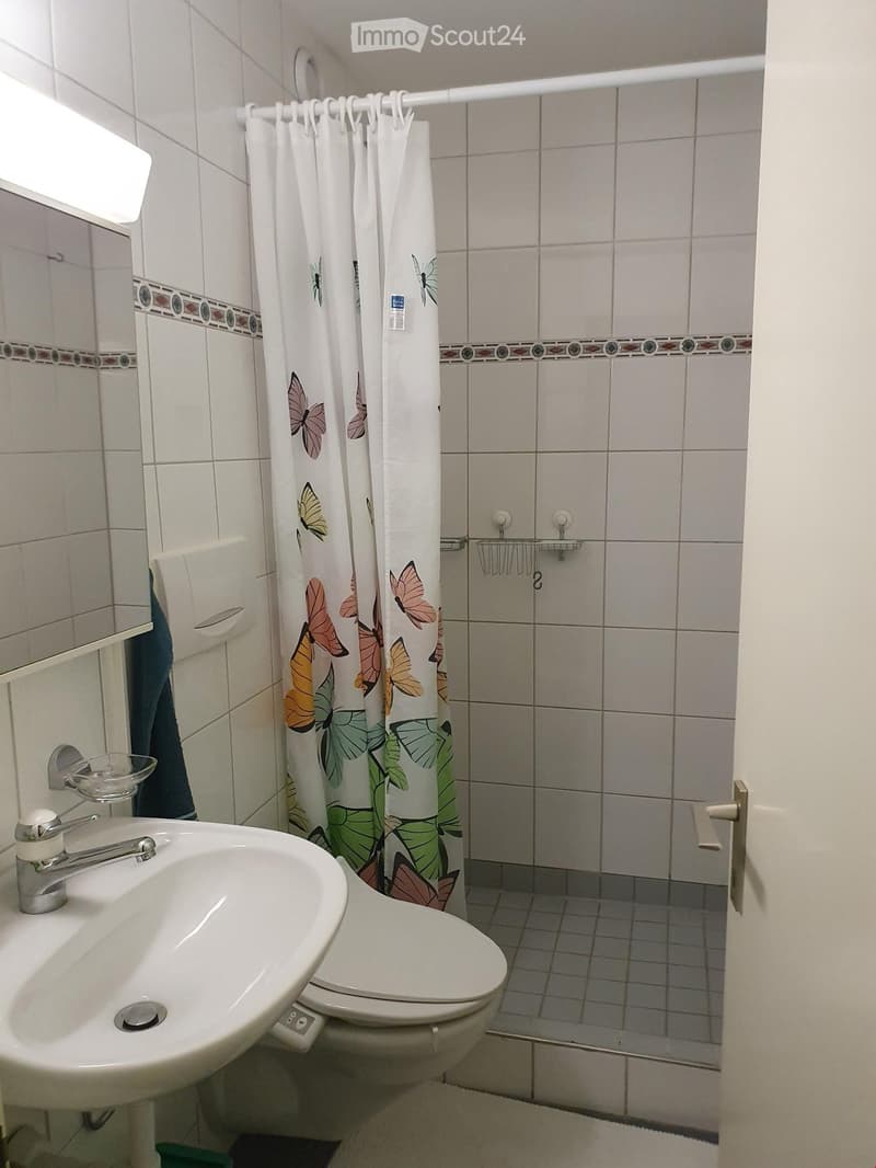 Bathroom with a white sink, toilet, shower curtain with butterfly design, and a mirror above the sink.