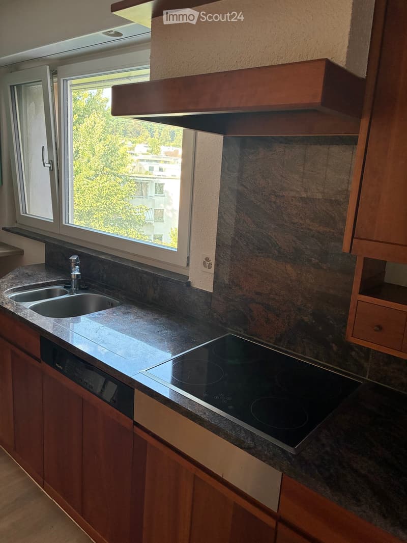 Modern kitchen with granite countertops, wooden cabinets, induction cooktop, stainless steel sink, and dishwasher.