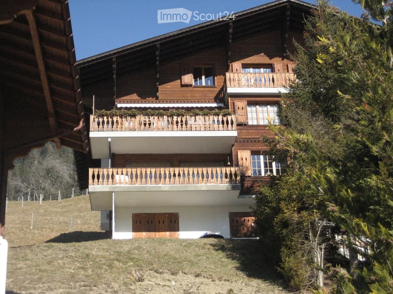 3 story wooden chalet, wooden balconies, 2 entrances, nestled in hillside