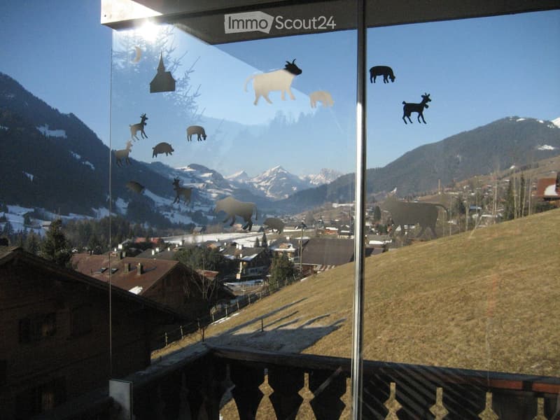View from a balcony or window with printed images of animals and mountains