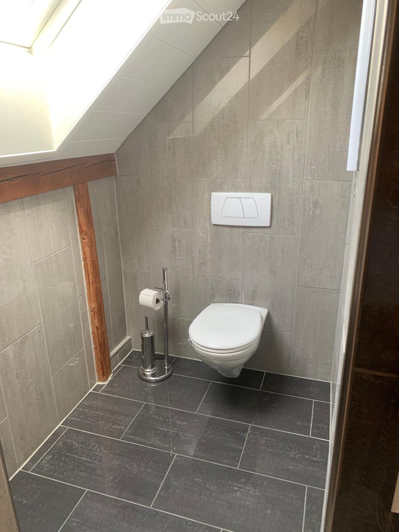 Modern bathroom with dark grey tiles, white toilet, toilet paper holder, and a light switch on the wall.
