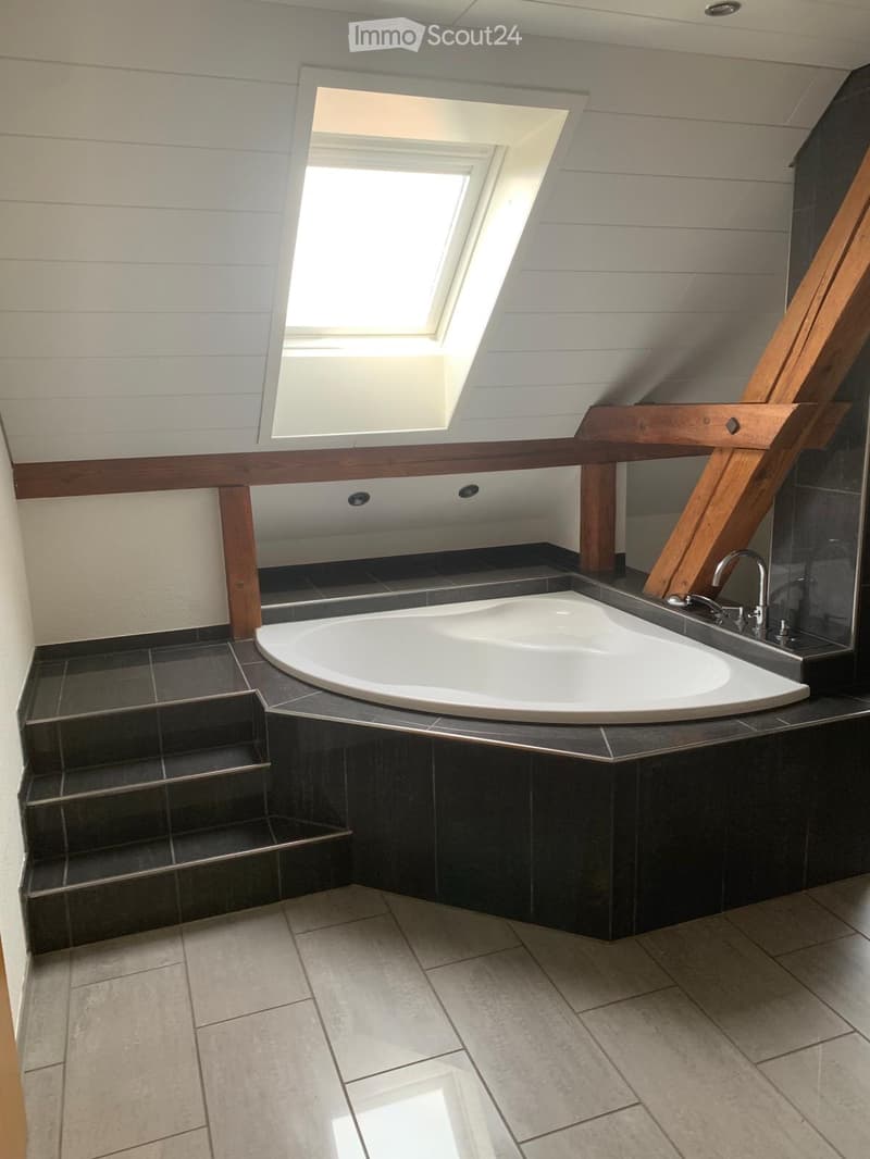 Modern bathroom with a freestanding bathtub, dark tiled walls, and a skylight window above the tub.