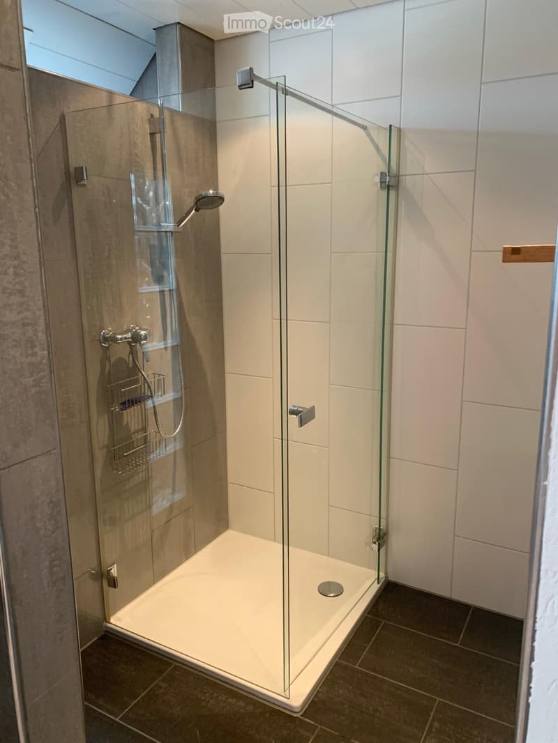 Modern shower stall with glass enclosure, multiple shower heads, and a built-in basket for toiletries.