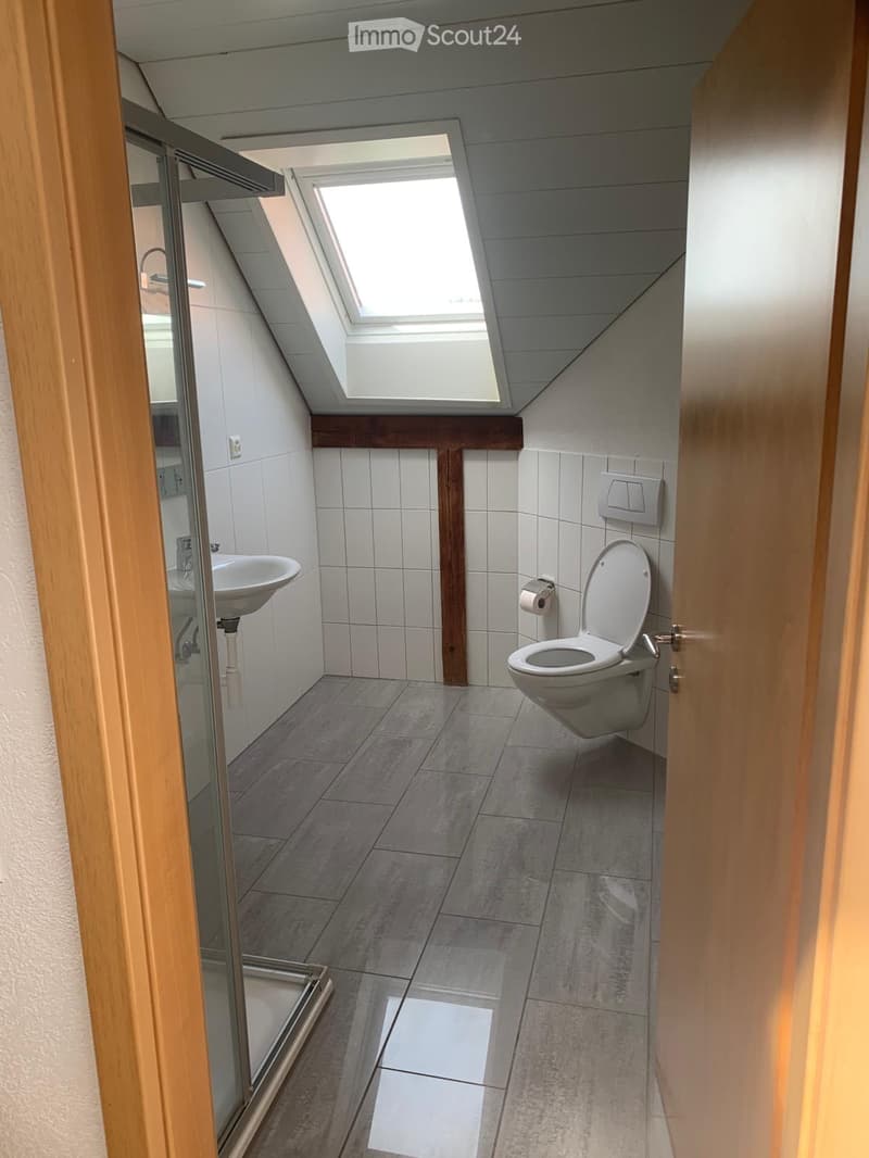 Modern bathroom with a toilet, sink, and mirror, featuring a skylight window and tiled walls and floor.