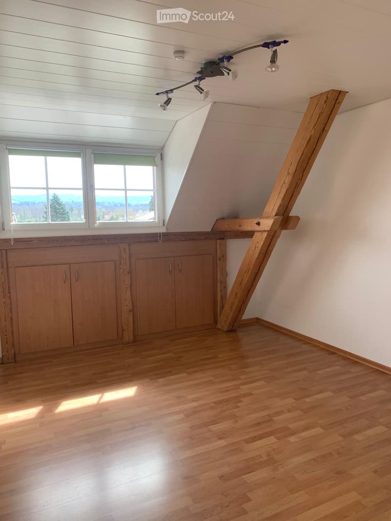 Empty attic room with wooden flooring, white walls, built-in wooden cabinets, and a large skylight window offering a scenic view.
