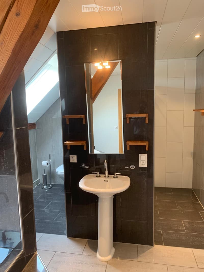 Modern bathroom with dark tiled walls, white pedestal sink, large mirror, toilet, and wooden shelves.