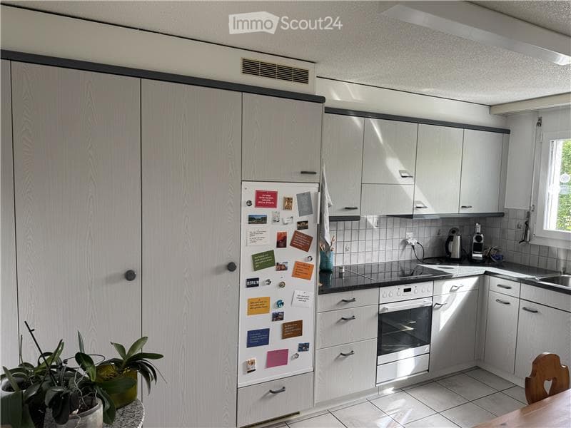 Modern kitchen with white cabinets, stainless steel appliances, and a refrigerator covered with notes and magnets. A potted plant is placed on the counter.