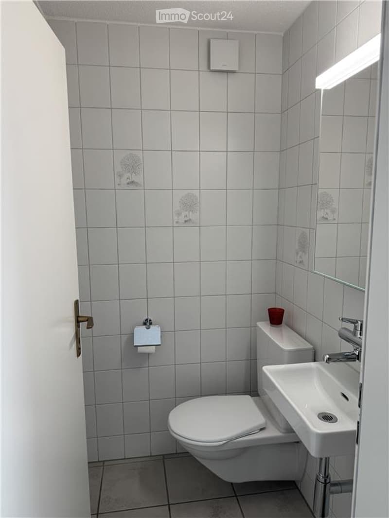 Modern bathroom with white tiles, a toilet, a sink with a chrome faucet, a mirror, and a small red cup on the toilet tank.