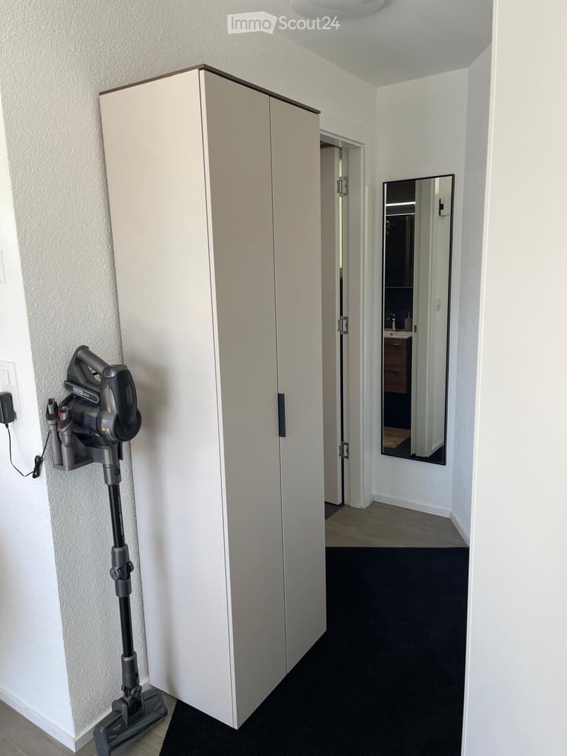 a room with a cabinet, a vacuum cleaner and a mirror