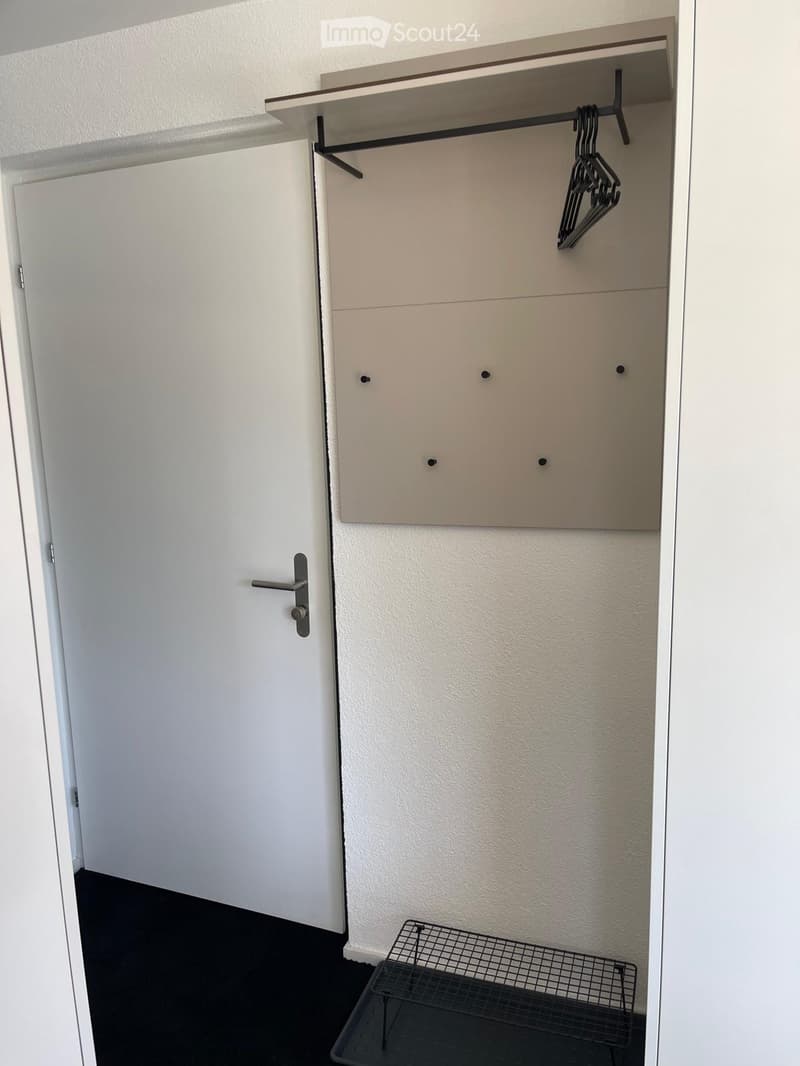 white door, white closet, metal hooks, metal tray, black carpet