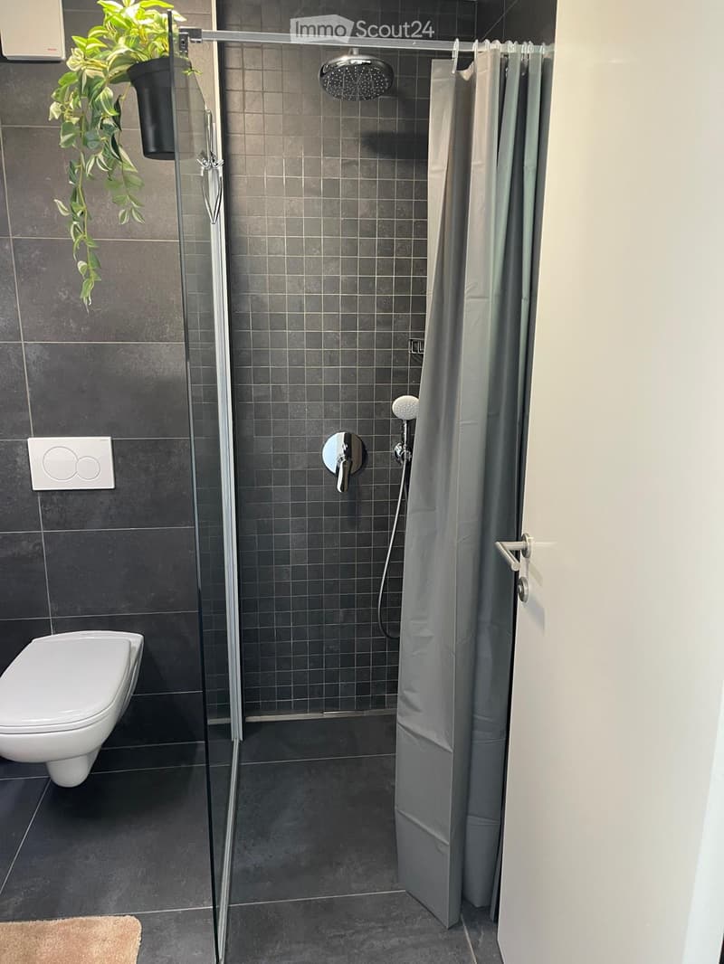 A modern bathroom with gray tiled walls, glass shower enclosure, handheld shower, shower curtain, toilet, and a small plant in a pot