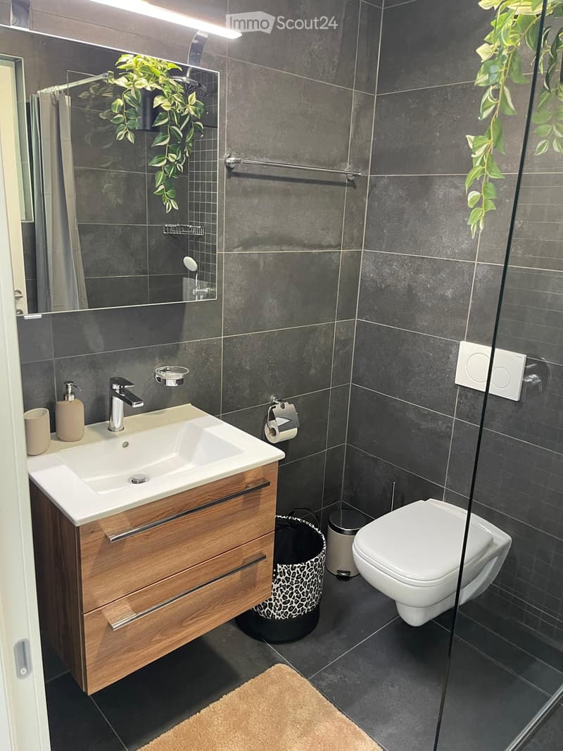 Small modern bathroom with a toilet, sink, and shower, black and grey tiled walls, wooden vanity with two drawers, and glass door, modern faucet, green plant, white power outlet, white toilet, black trash can, white toilet paper holder, beige mat.