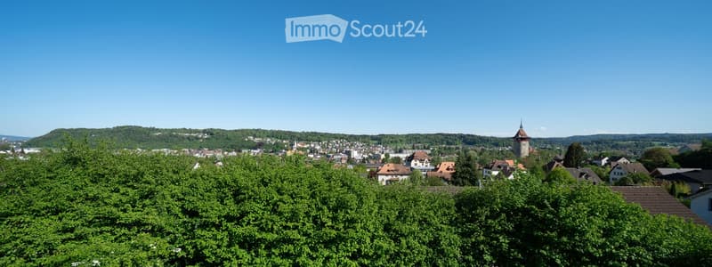 A panoramic view of a town with houses, trees, and a distant hill under a clear blue sky.