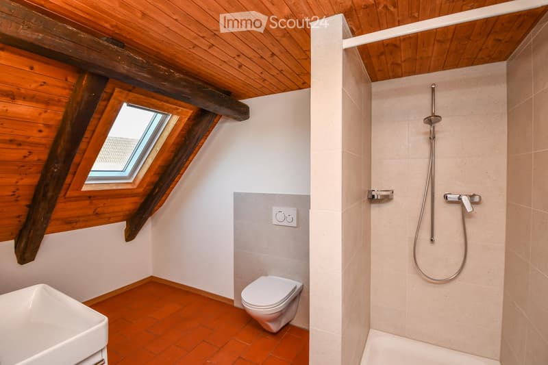 Modern bathroom with wooden ceiling beams, skylight window, white tiled shower area, and a toilet.