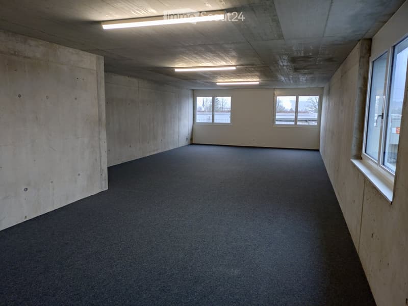 Empty room with bare concrete walls, carpeted floor, and large windows allowing natural light.