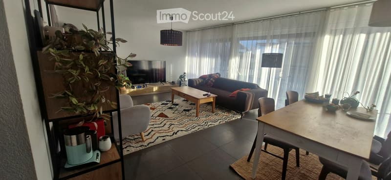 Modern living room with a sofa, coffee table, dining table, chairs, TV, and decorative plants.