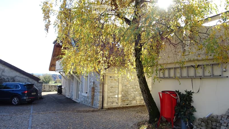 stone walls, brick roof, large tree, attached garage, paved driveway, trash bin