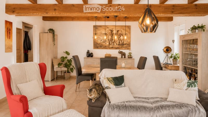 A cozy living room with a large sofa, armchair, dining table, pendant lights, and decorative items including a cat, plants, and artwork.