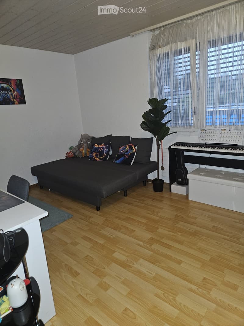 A modern, well-lit room with a sofa bed, a small table, a piano, and a potted plant. The room features wooden flooring and large windows with sheer curtains.