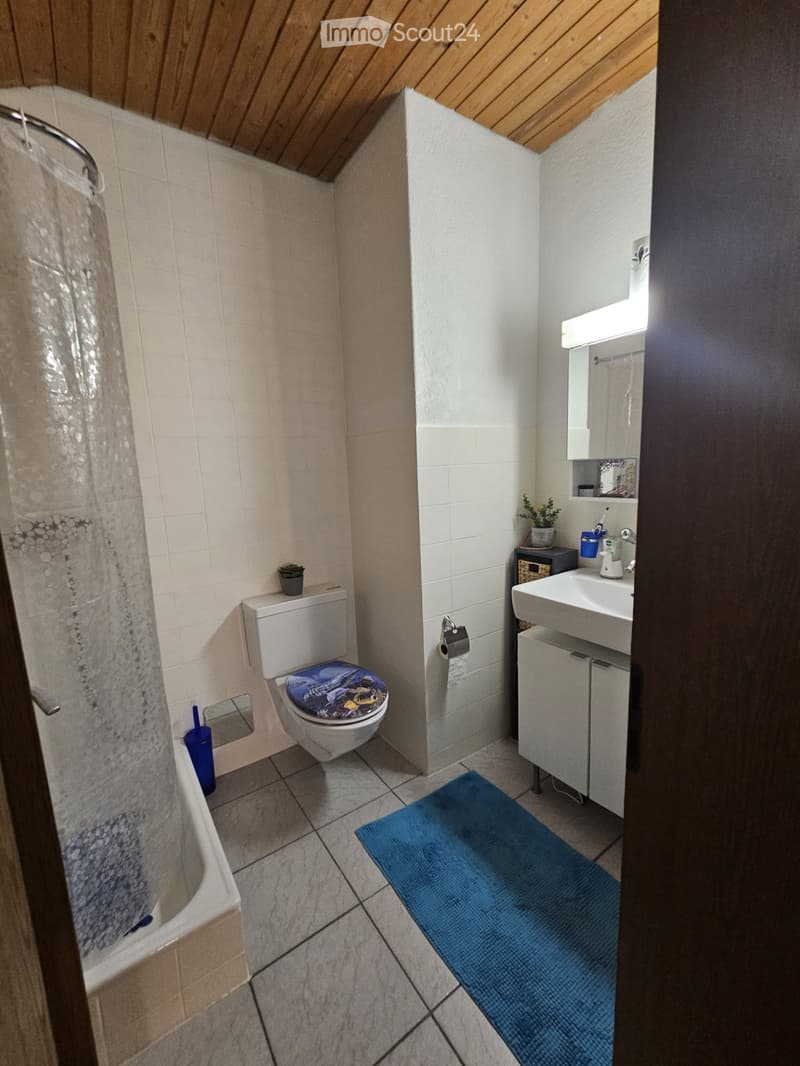 Compact bathroom with a toilet, sink, bathtub, and small cabinet. Features a blue bath mat, a shower curtain, and a small potted plant on the sink counter.