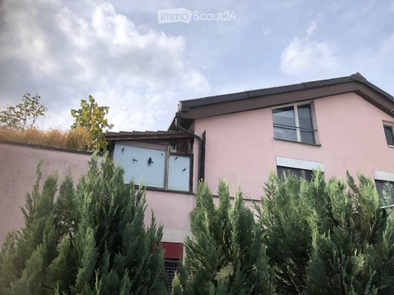 Pink residential building with multiple windows, surrounded by greenery and trees.