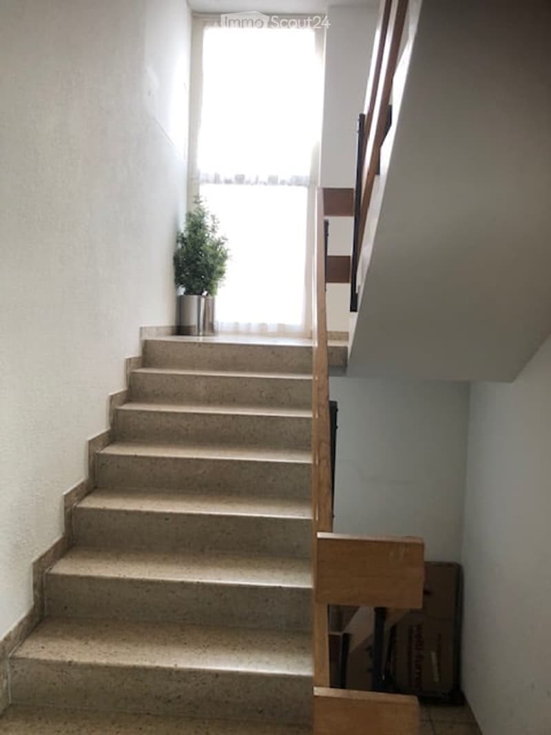 A narrow hallway with a staircase leading upwards, featuring a wooden handrail and a small potted plant on the landing.