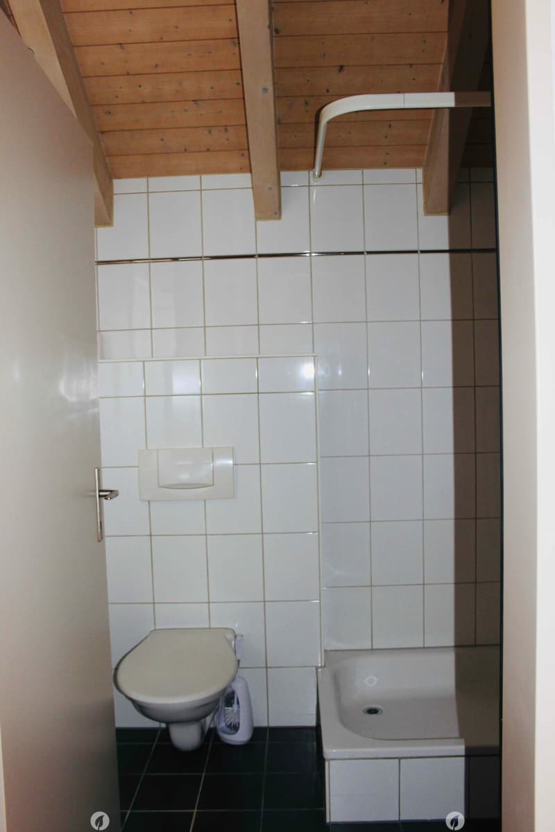 white tiled walls, white toilet, small shower enclosure