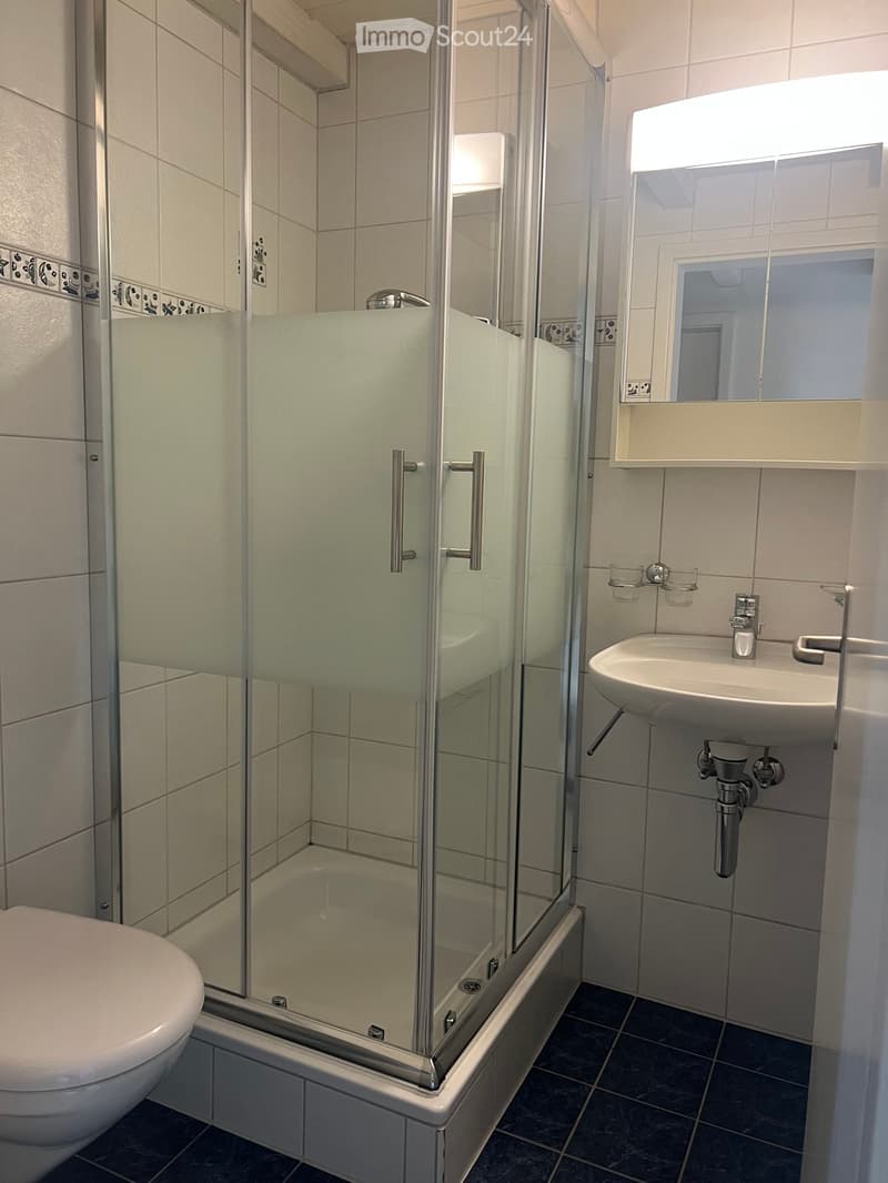 Modern bathroom with a glass-enclosed shower stall, a white toilet, and a white sink with a mirror above it. The walls are tiled, and the floor is dark.