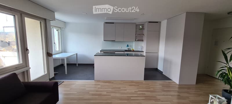 Open-plan living and kitchen area with wooden flooring, white kitchen cabinets, a central island, a sofa, a dining table, and a potted plant near the window.