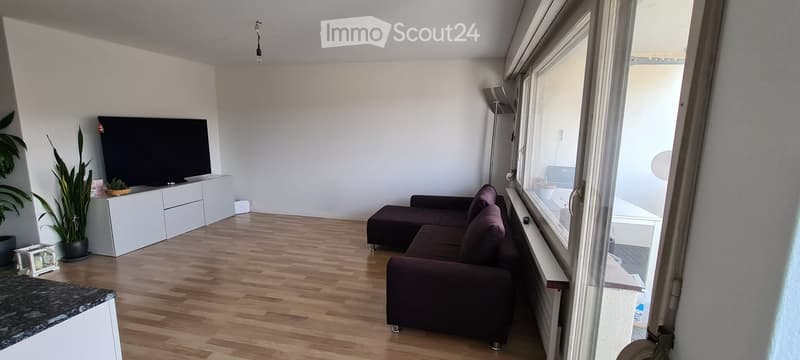 Modern living room with wooden flooring, large window, dark brown sofa, TV stand, and decorative plant.