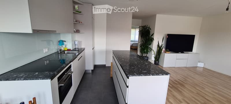 Modern kitchen with white cabinets, granite countertops, stainless steel sink, and a small living area with a TV and plants.