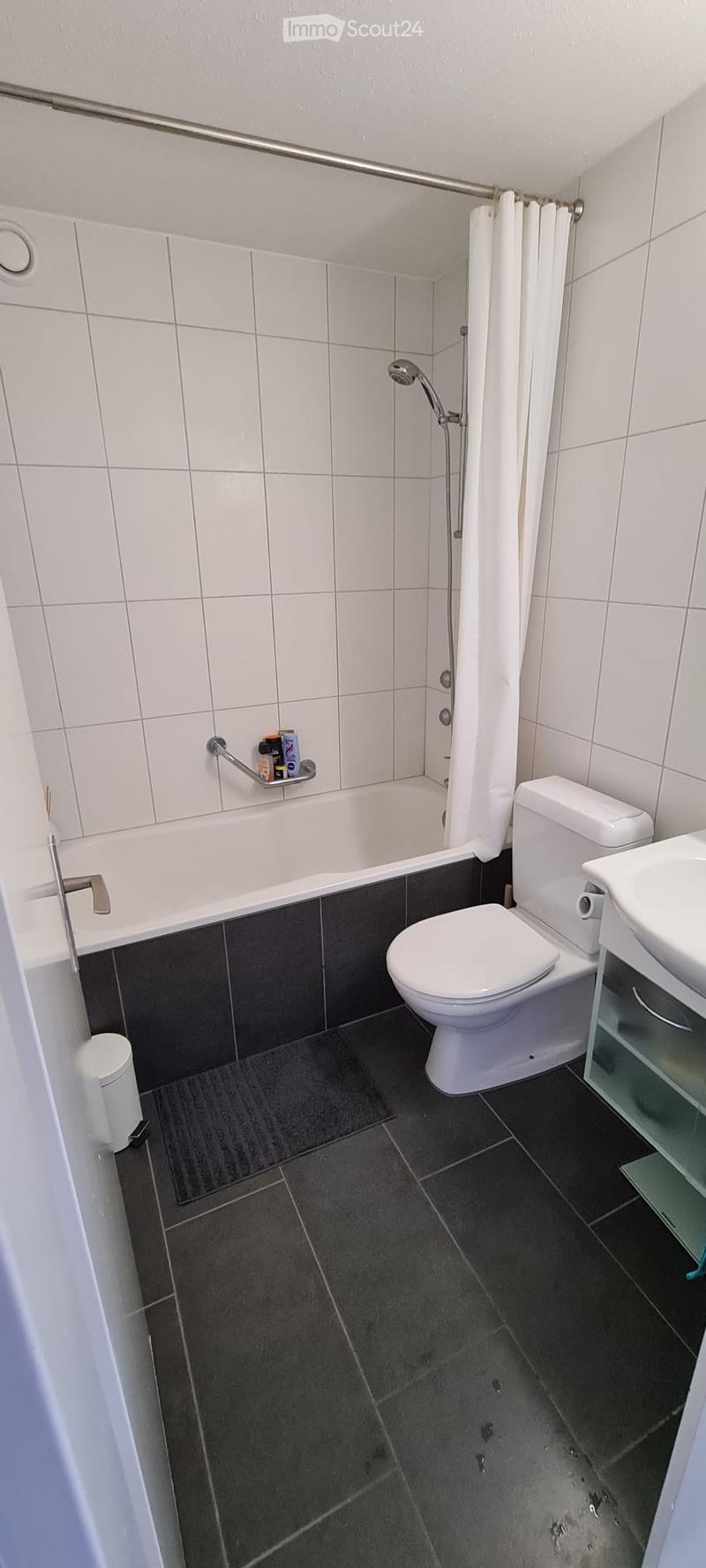 Modern bathroom with white tiles, dark grey floor tiles, bathtub, toilet, sink, shower, and a handrail above the bathtub.