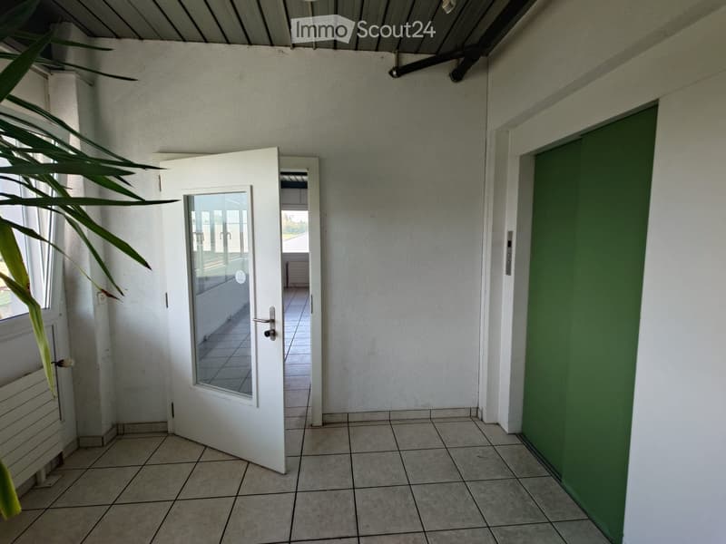 Empty hallway with tiled floor, white walls, and a ceiling fan. Features a white door with glass panels leading to another room and a green door on the right side.