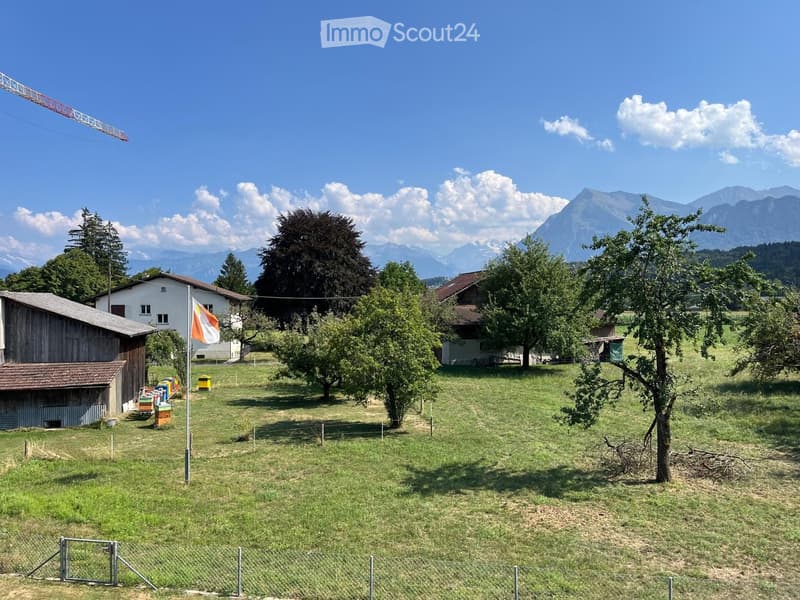 A rural garden area with a grassy lawn, trees, beehives, and a small wooden shed. A Swiss flag is visible, and mountains are in the background.