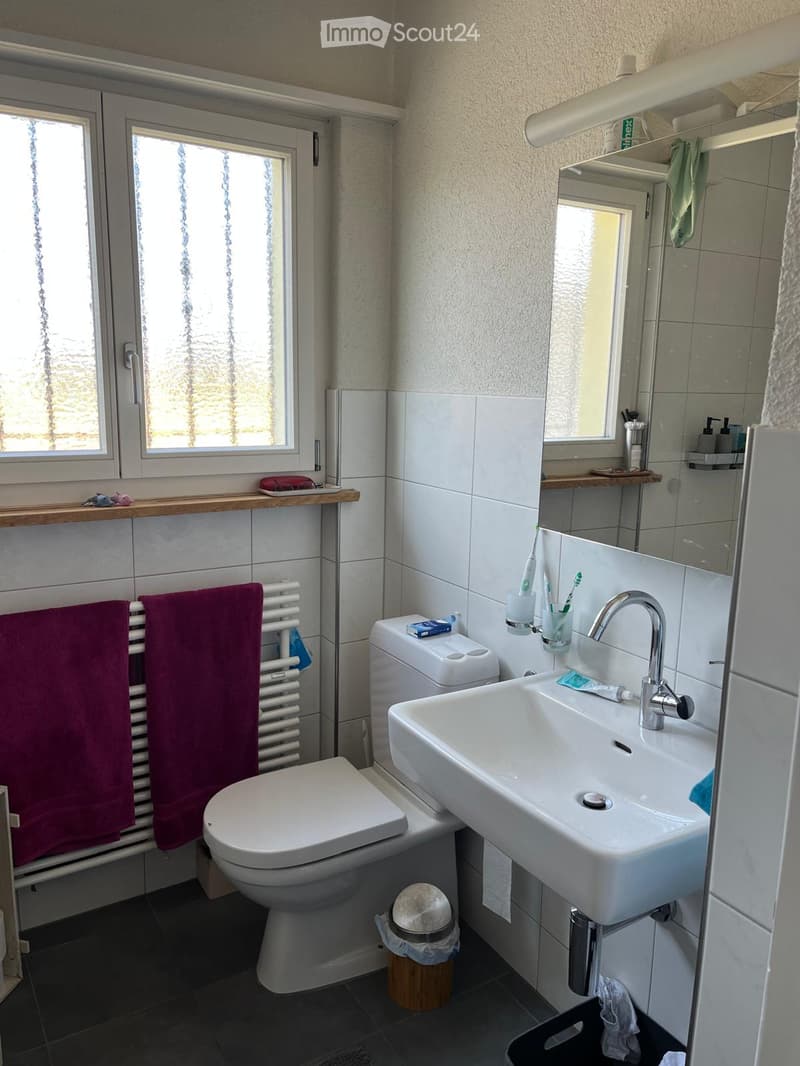 Modern bathroom with white tiles, a sink, toilet, radiator, and a window offering a view of trees. The sink has a modern faucet, and there are toothbrushes, toothpaste, and a soap dispenser on the counter. A towel hangs on the radiator, and a mirror is mo