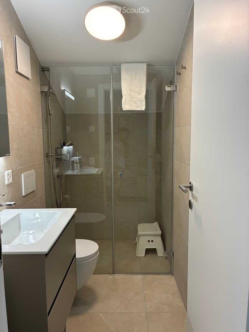Modern bathroom with a glass-enclosed shower, a white sink, a toilet, and a small stool inside the shower area. Beige tiles and a round ceiling light are visible.
