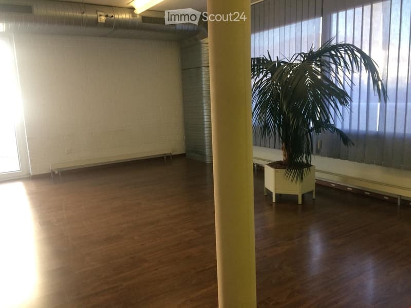 Empty room with wooden flooring, white brick walls, large windows with blinds, and a potted plant in the corner.