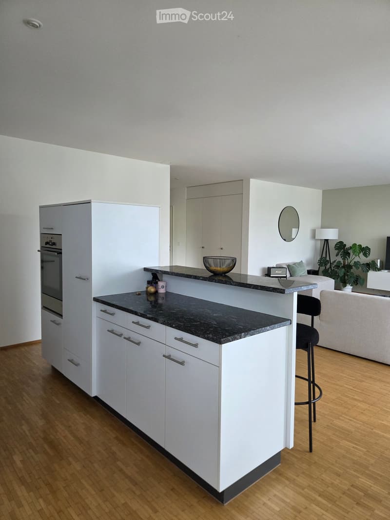 Modern kitchen with white cabinets, black granite countertop, and a small living area with a sofa and plant.