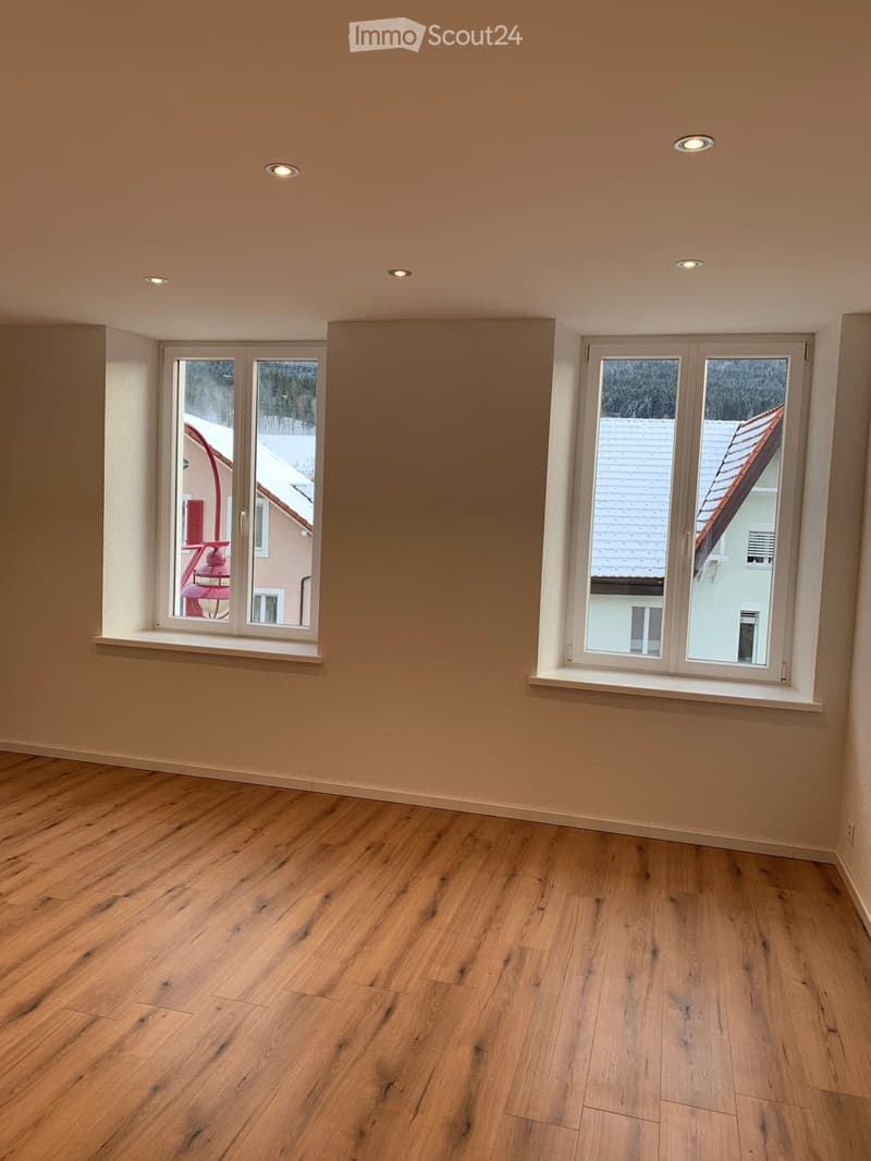 Magnifique appartement fraîchement rénové ! (6)