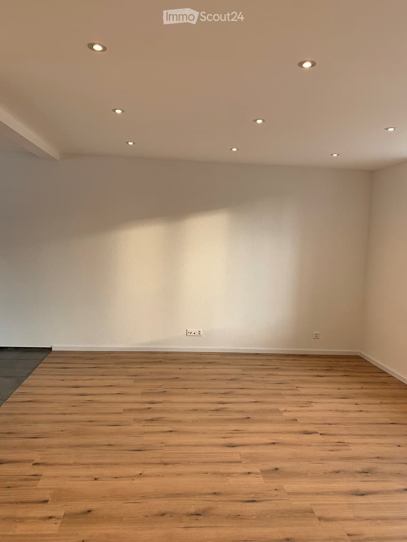 Magnifique appartement fraîchement rénové ! (1)