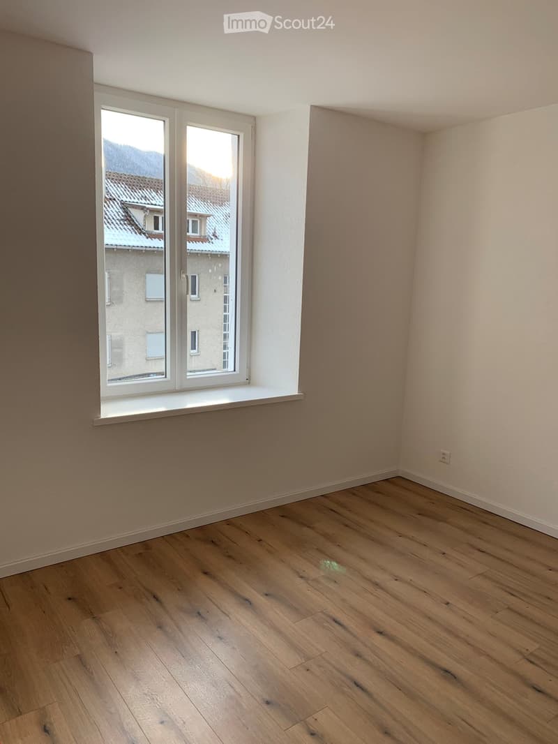 Magnifique appartement fraîchement rénové ! (7)