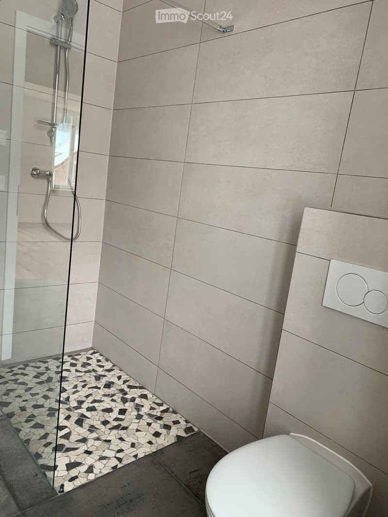 Magnifique appartement fraîchement rénové ! (10)