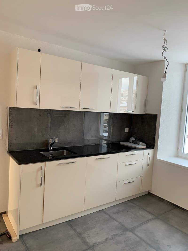 Magnifique appartement fraîchement rénové ! (4)