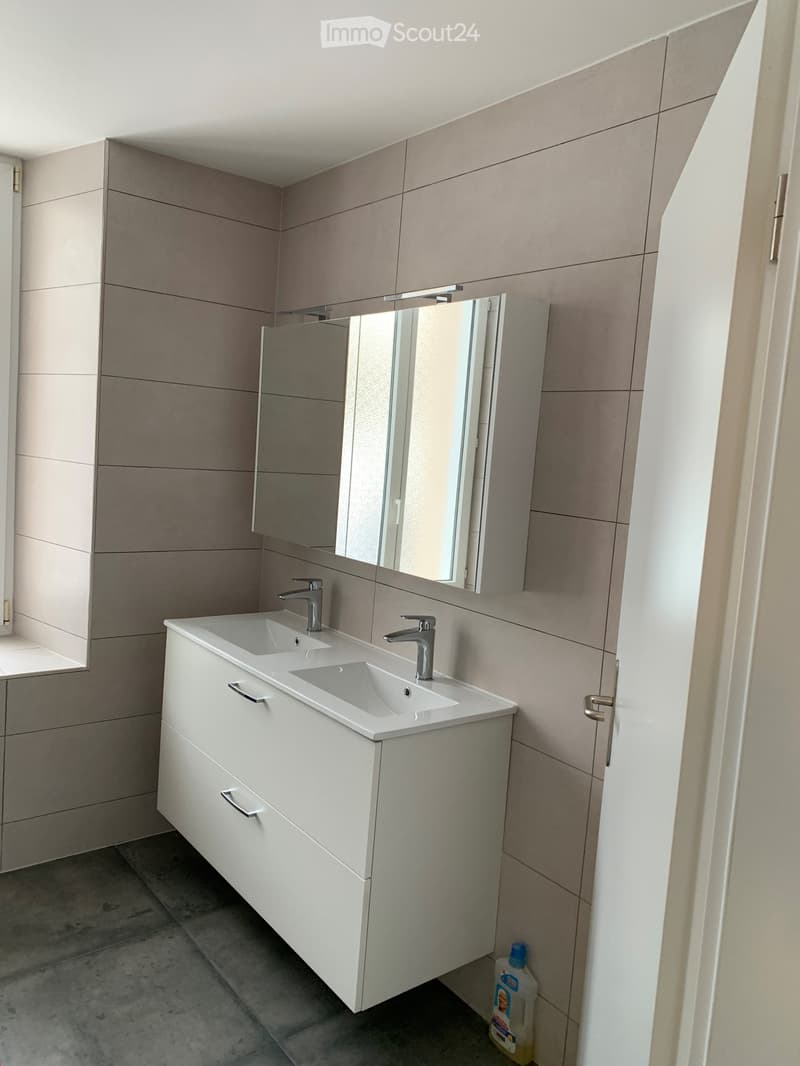 Magnifique appartement fraîchement rénové ! (9)